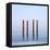 Quadra-Doug Chinnery-Framed Stretched Canvas