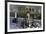 Quadrophenia-null-Framed Photo