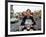 Quadrophenia-null-Framed Photo