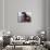Quadrophenia-null-Photo displayed on a wall