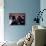 Quadrophenia-null-Photo displayed on a wall