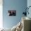 Quadrophenia-null-Photo displayed on a wall