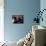 Quadrophenia-null-Mounted Photo displayed on a wall