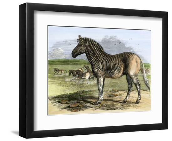 Premium Giclee Print, , large