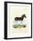 Quagga-null-Framed Giclee Print