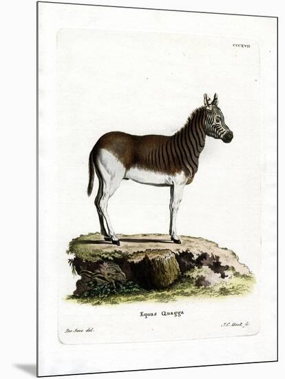 Quagga-null-Mounted Giclee Print