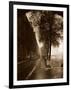 Quai D'Anjou,Paris 1926-Eug?ne Atget-Framed Photographic Print