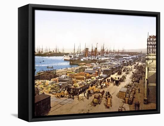 Quai De La Joliette, Marseilles, France, Pub. 1890-1900-null-Framed Stretched Canvas