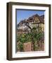 Quai De La Poissonnerie, Colmar, Alsace, France, Europe-Thouvenin Guy-Framed Photographic Print