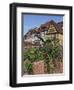 Quai De La Poissonnerie, Colmar, Alsace, France, Europe-Thouvenin Guy-Framed Photographic Print