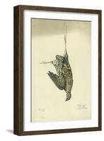 Quail, 1872-Claude Conder-Framed Giclee Print