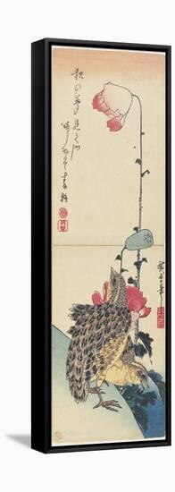 Quail and Poppies, 1830-1858-Utagawa Hiroshige-Framed Stretched Canvas