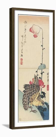 Quail and Poppies, 1830-1858-Utagawa Hiroshige-Framed Premium Giclee Print