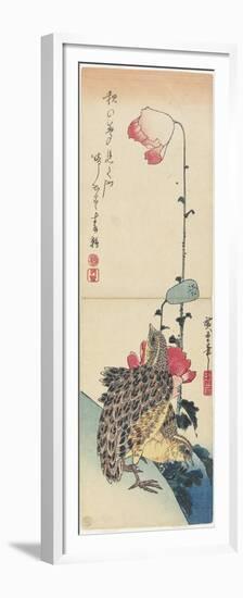 Quail and Poppies, 1830-1858-Utagawa Hiroshige-Framed Premium Giclee Print