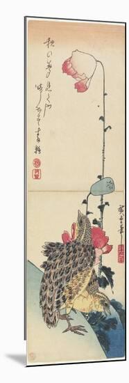 Quail and Poppies, 1830-1858-Utagawa Hiroshige-Mounted Premium Giclee Print