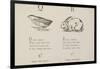 Quail and Rabbit Illustrations and Verse From Nonsense Alphabets by Edward Lear.-Edward Lear-Framed Giclee Print