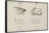 Quail and Rabbit Illustrations and Verse From Nonsense Alphabets by Edward Lear.-Edward Lear-Framed Stretched Canvas