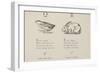 Quail and Rabbit Illustrations and Verse From Nonsense Alphabets by Edward Lear.-Edward Lear-Framed Giclee Print