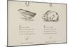 Quail and Rabbit Illustrations and Verse From Nonsense Alphabets by Edward Lear.-Edward Lear-Mounted Giclee Print