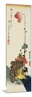 Quail and Wild Poppies-Kishi Chikudo-Mounted Giclee Print