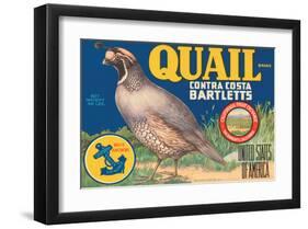 Quail Brand Contra Costa Bartletts-null-Framed Art Print