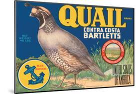 Quail Brand Contra Costa Bartletts-null-Mounted Art Print