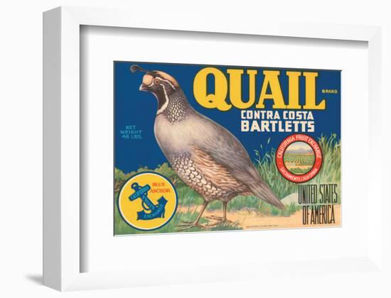 Quail Brand Contra Costa Bartletts-null-Framed Art Print