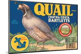 Quail Brand Contra Costa Bartletts-null-Mounted Art Print