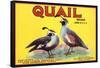 Quail Brand - Upland, California - Citrus Crate Label-Lantern Press-Framed Stretched Canvas