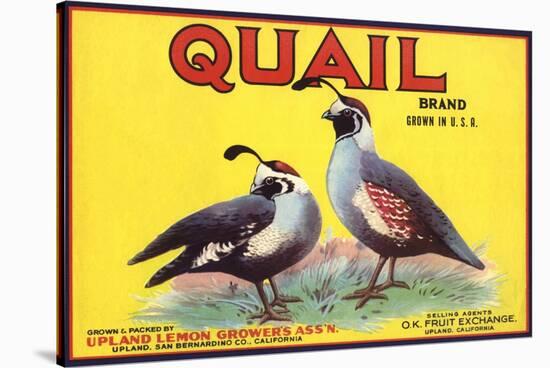 Quail Brand - Upland, California - Citrus Crate Label-Lantern Press-Stretched Canvas