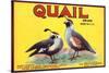 Quail Brand - Upland, California - Citrus Crate Label-Lantern Press-Stretched Canvas