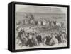 Quail-Catching in Syria-null-Framed Stretched Canvas