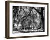 Quail Hunters Riding on Horseback-Ed Clark-Framed Photographic Print