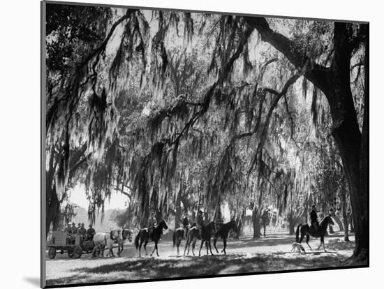 Quail Hunters Riding on Horseback-Ed Clark-Mounted Photographic Print