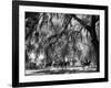 Quail Hunters Riding on Horseback-Ed Clark-Framed Photographic Print