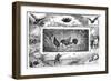 Quail Hunting, 1880-null-Framed Giclee Print