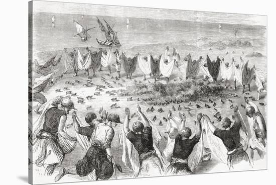 Quail Hunting on the Coast of Syria. from 'L'Univers Illustré', Published 1866-null-Stretched Canvas