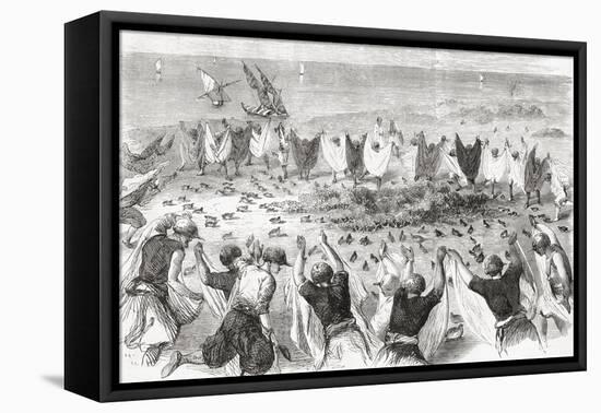 Quail Hunting on the Coast of Syria. from 'L'Univers Illustré', Published 1866-null-Framed Stretched Canvas