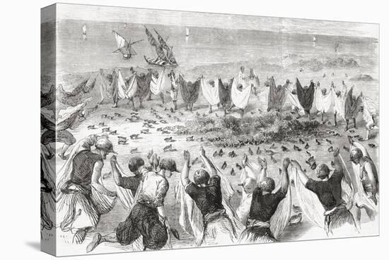 Quail Hunting on the Coast of Syria. from 'L'Univers Illustré', Published 1866-null-Stretched Canvas