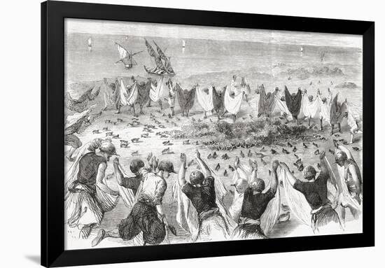 Quail Hunting on the Coast of Syria. from 'L'Univers Illustré', Published 1866-null-Framed Giclee Print