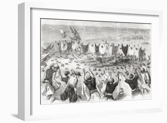 Quail Hunting on the Coast of Syria. from 'L'Univers Illustré', Published 1866-null-Framed Giclee Print