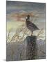 Quail on a Post-Carolyn Mock-Mounted Art Print