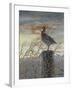 Quail on a Post-Carolyn Mock-Framed Art Print