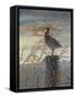 Quail on a Post-Carolyn Mock-Framed Stretched Canvas