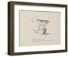 Quail Perched On Teapot, Smoking a Pipe From a Collection Of Poems and Songs by Edward Lear-Edward Lear-Framed Giclee Print