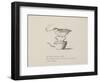 Quail Perched On Teapot, Smoking a Pipe From a Collection Of Poems and Songs by Edward Lear-Edward Lear-Framed Giclee Print