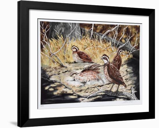 Quail-Allen Friedman-Framed Limited Edition