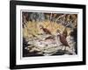 Quail-Allen Friedman-Framed Limited Edition