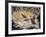 Quail-Allen Friedman-Framed Limited Edition