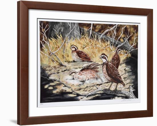 Quail-Allen Friedman-Framed Limited Edition